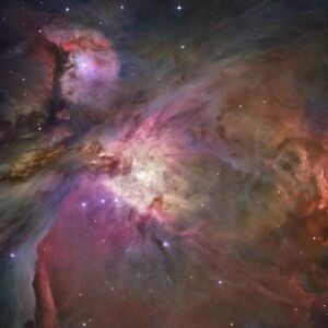 Meet your Posher, Annie